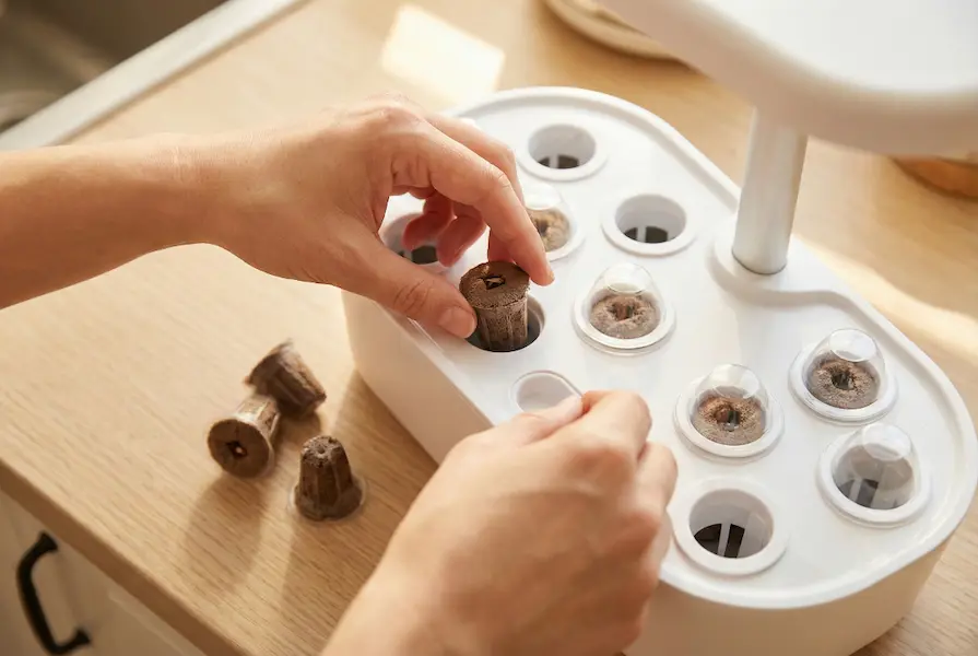 Overhead view of a person inserting seed pods into the growing holes of a smart indoor garden tray on a kitchen counter.