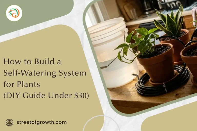 Potted plants connected to a white water bucket via black tubing on a wooden table, illustrating how to build a self-watering system for plants under $30.