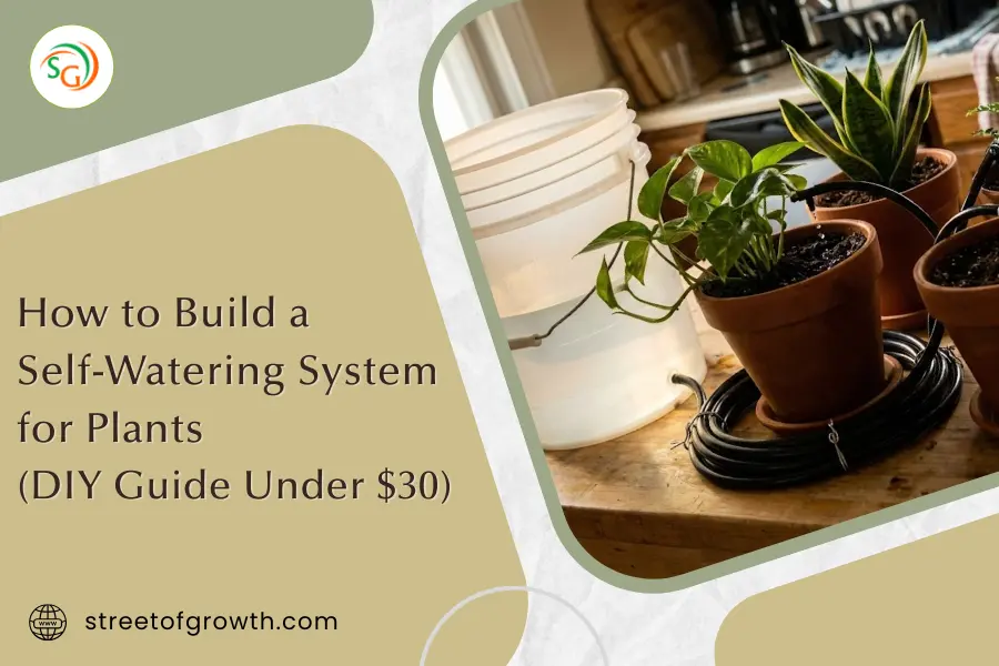 Potted plants connected to a white water bucket via black tubing on a wooden table, illustrating how to build a self-watering system for plants under $30.