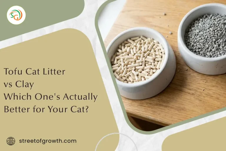 Two bowls placed side-by-side containing tofu pellets and clay granules, illustrating the comparison of Tofu Cat Litter vs Clay to see which is actually better for your cat.