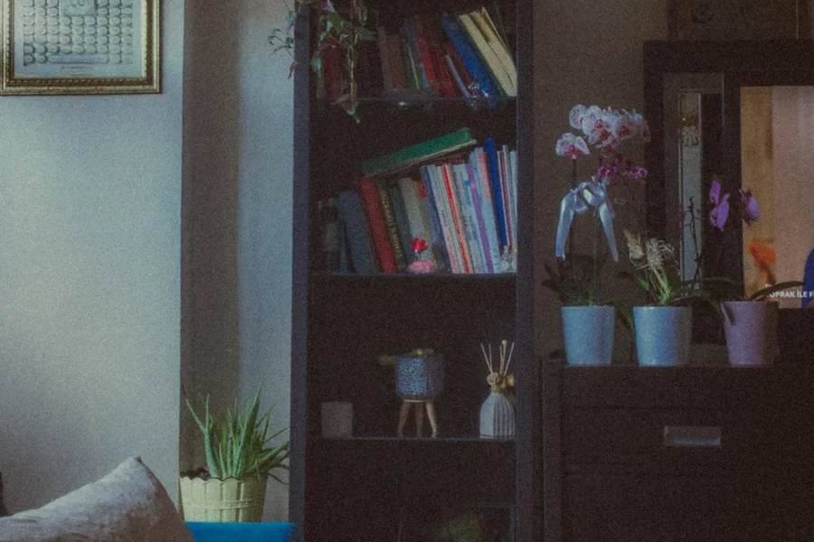 A small bookcase for light loads Bookcase holding paperbacks and small decor beside potted orchids in a living room